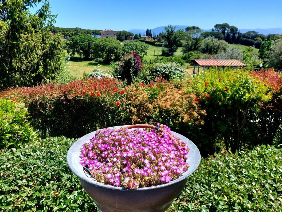Montebello Park Hotel Perugia Kültér fotó